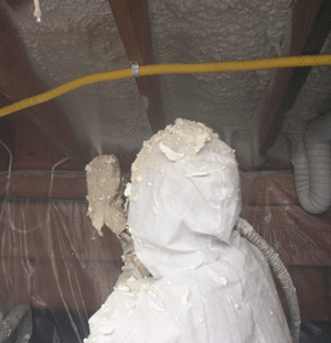 Pittsburgh PA crawl space insulation